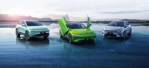 蔚小理 在爭(zhēng)議與贊譽(yù)交織中成長(zhǎng)的汽車(chē)配件銷(xiāo)售新模式